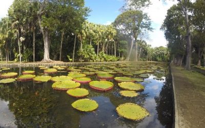 Mauritius