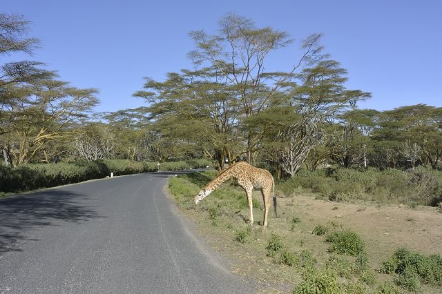 Kenya